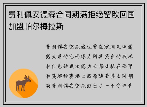 费利佩安德森合同期满拒绝留欧回国加盟帕尔梅拉斯 费利佩安德森合同期满拒绝留欧回国加盟帕尔梅拉斯